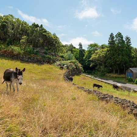 Villa Casa Da Figueirinha Calheta de Nesquim Esterno foto