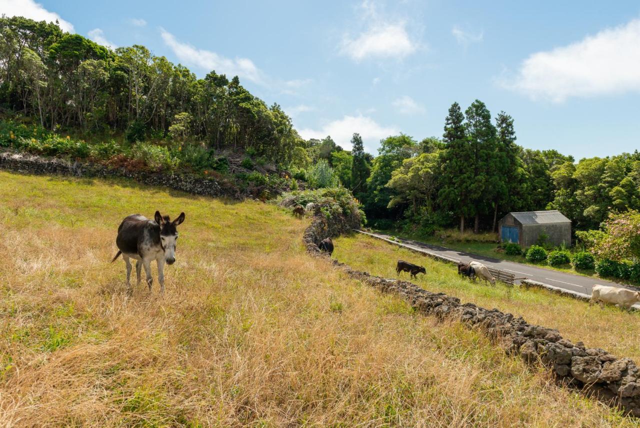 Villa Casa Da Figueirinha Calheta de Nesquim Esterno foto